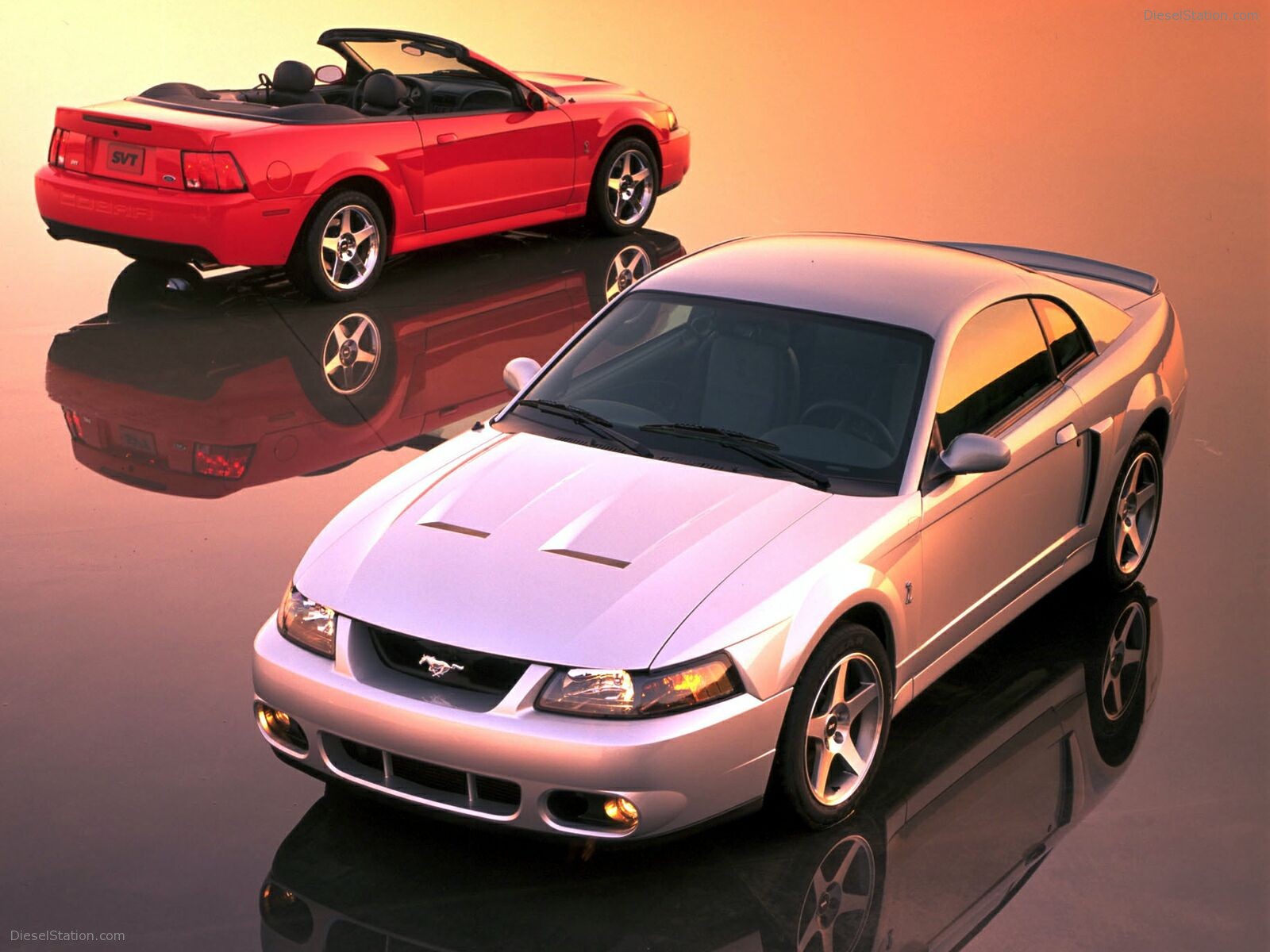 Ford Mustang Cobra (2003)